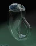 Klein-Bottle